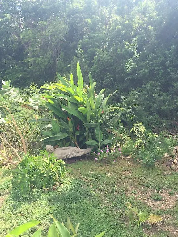 Les Gites De Casita By Kreyol Animal Grand-Bourg  Guadalupe