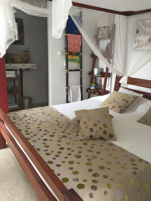 Les Gites De Casita By Kreyol Animal Grand-Bourg