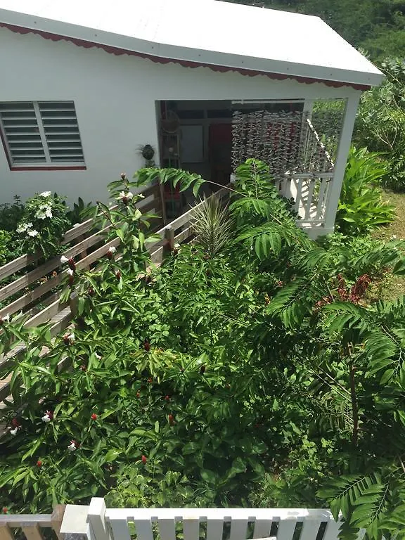 Les Gites De Casita By Kreyol Animal Grand-Bourg  Grand-Bourg (Marie Galante)