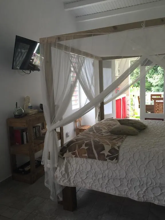 Les Gites De Casita By Kreyol Animal Grand-Bourg