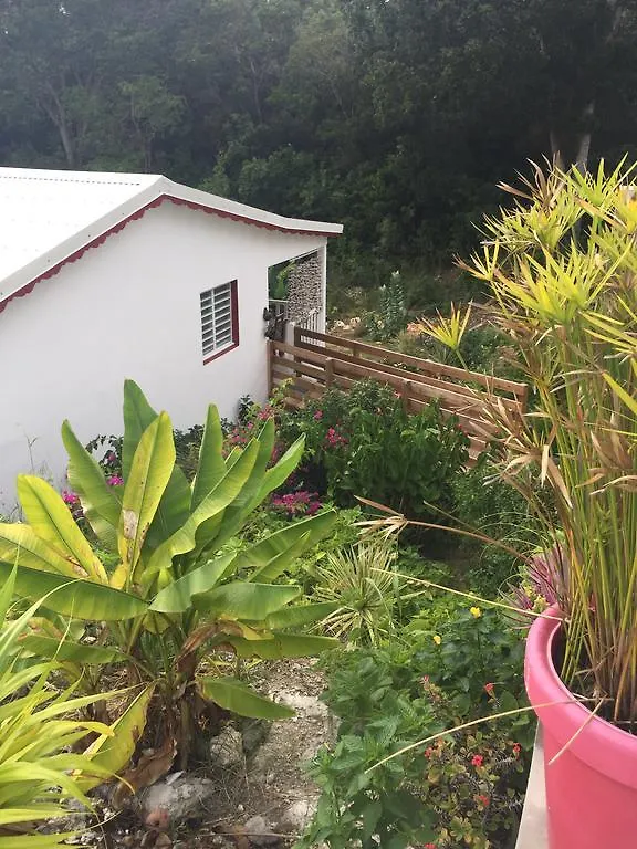 Holiday home Les Gites De Casita By Kreyol Animal Grand-Bourg