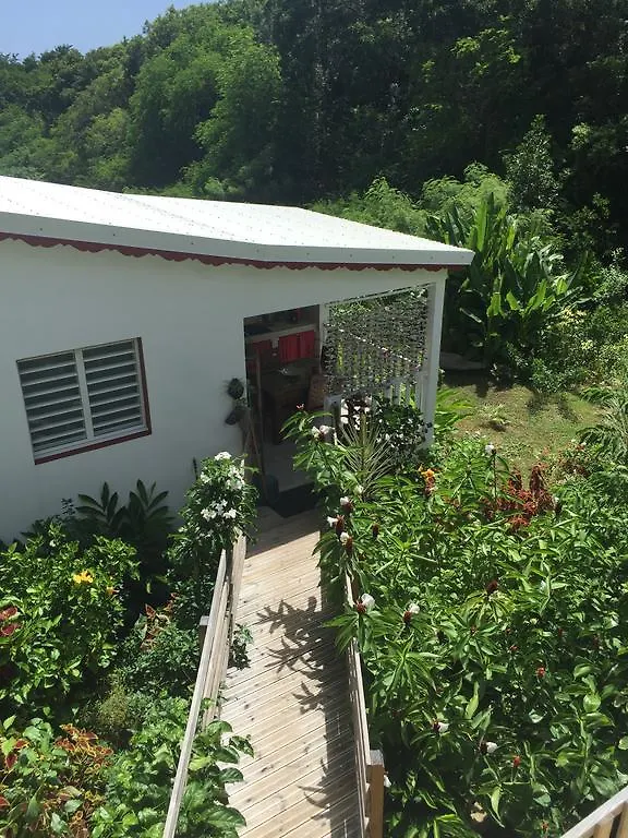 Holiday home Les Gites De Casita By Kreyol Animal Grand-Bourg