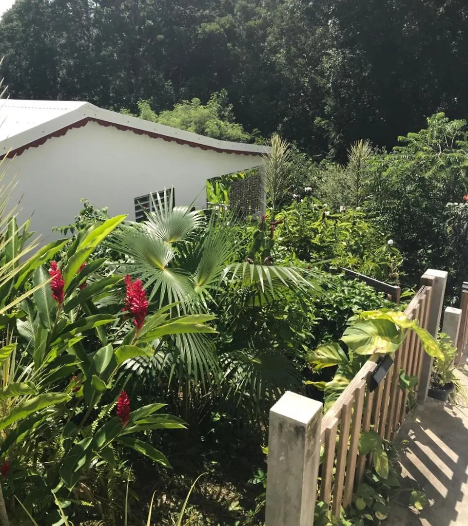 Holiday home Les Gites De Casita By Kreyol Animal Grand-Bourg  Guadeloupe